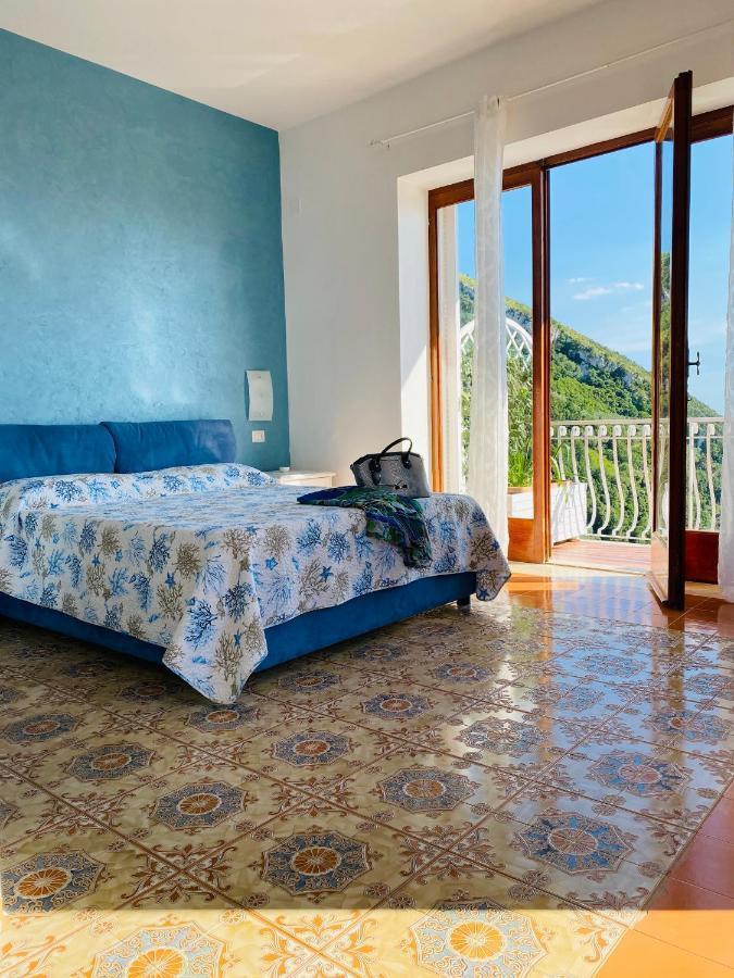Acquamarina Accommodation Massa Lubrense Esterno foto